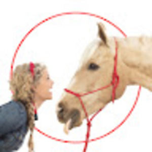 Meet your Posher, Striphair